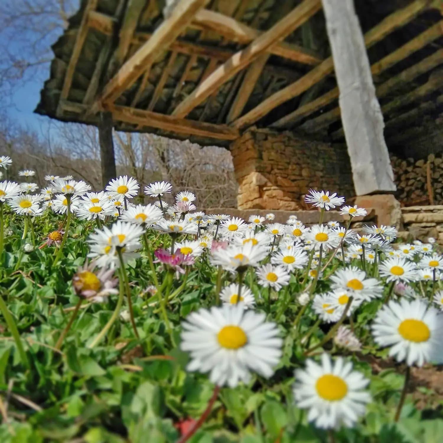 Willa Authentic House With Stunning Mountain View - Karashka Apriłci Zewnętrze zdjęcie