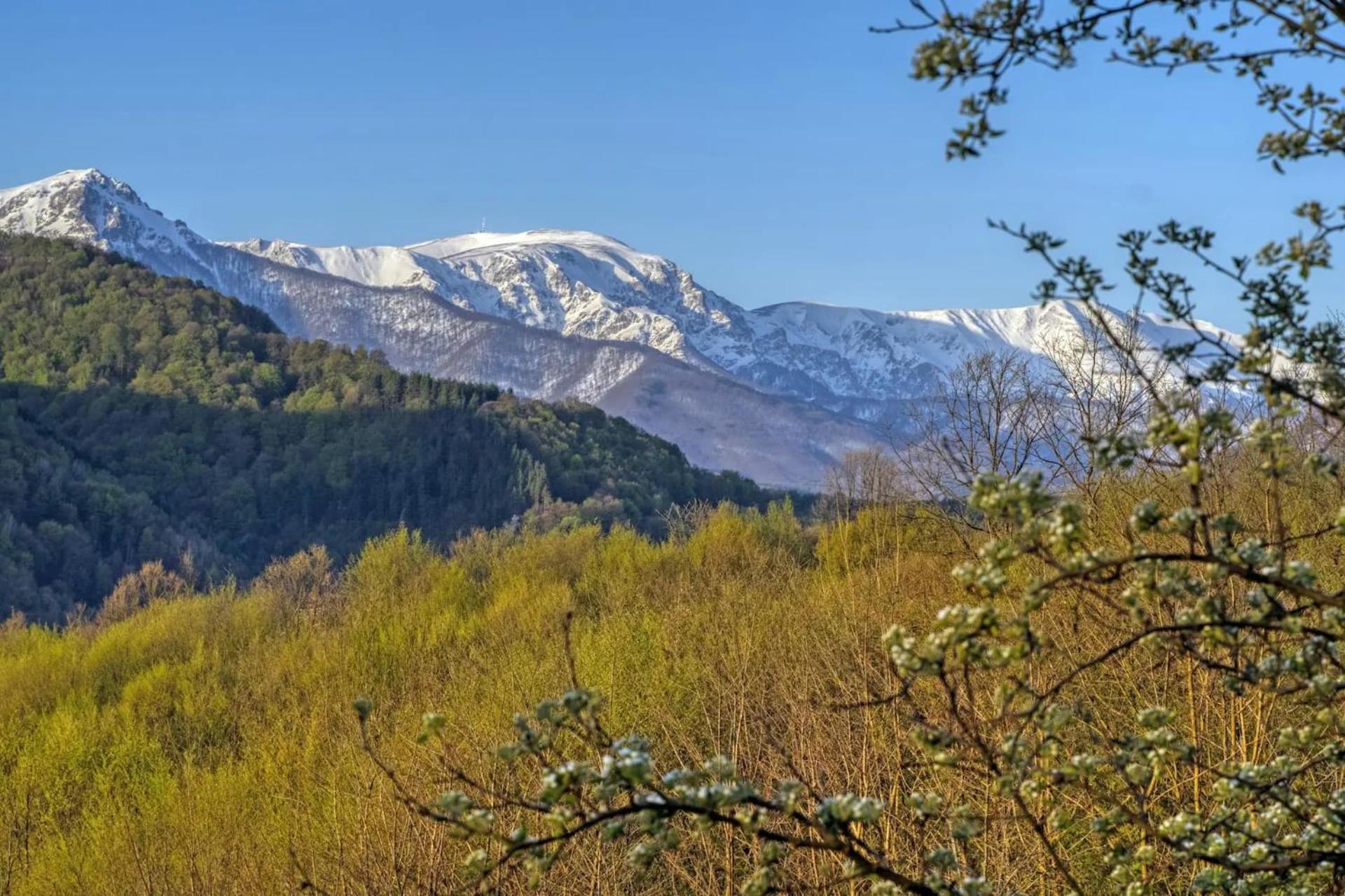 Willa Authentic House With Stunning Mountain View - Karashka Apriłci Zewnętrze zdjęcie