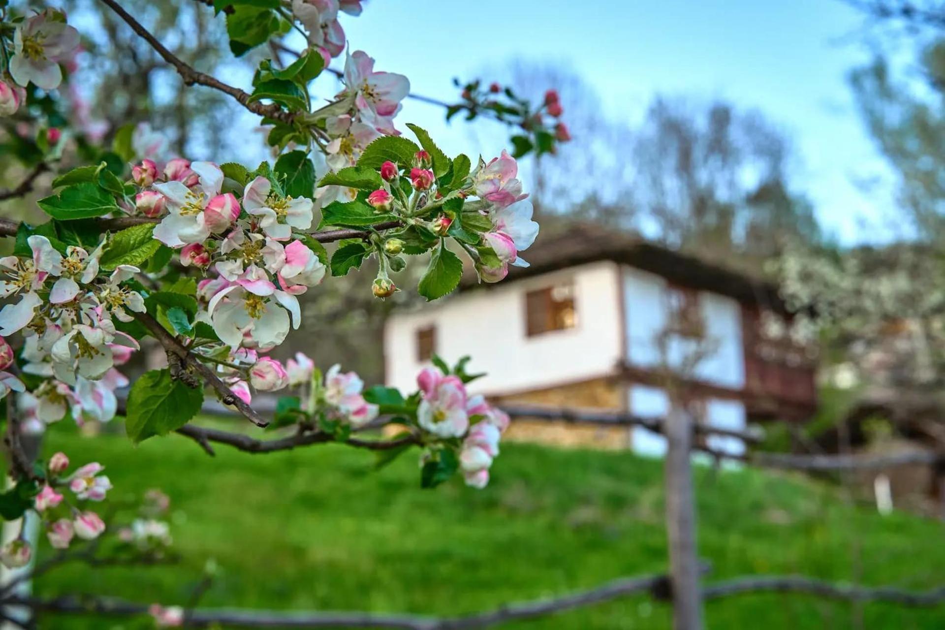 Willa Authentic House With Stunning Mountain View - Karashka Apriłci Zewnętrze zdjęcie